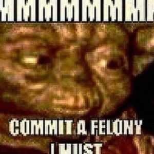 Meet your Posher, Rory